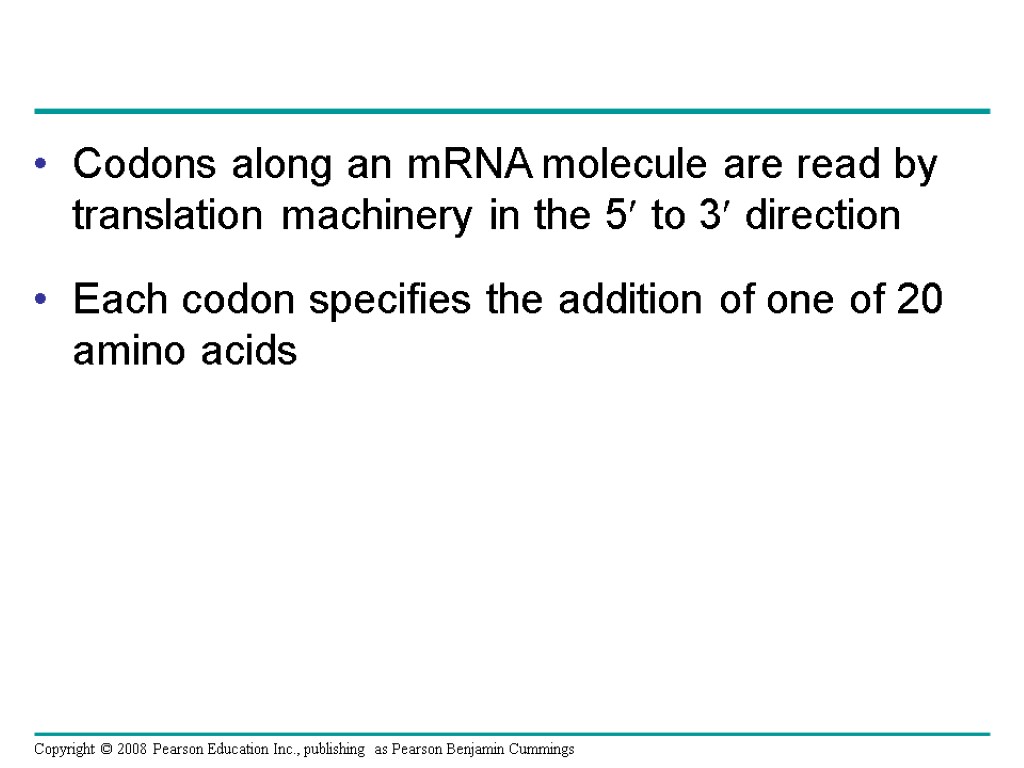 Codons along an mRNA molecule are read by translation machinery in the 5 to